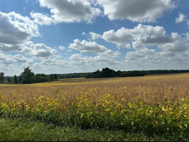 Farm for sale in Hale, Missouri