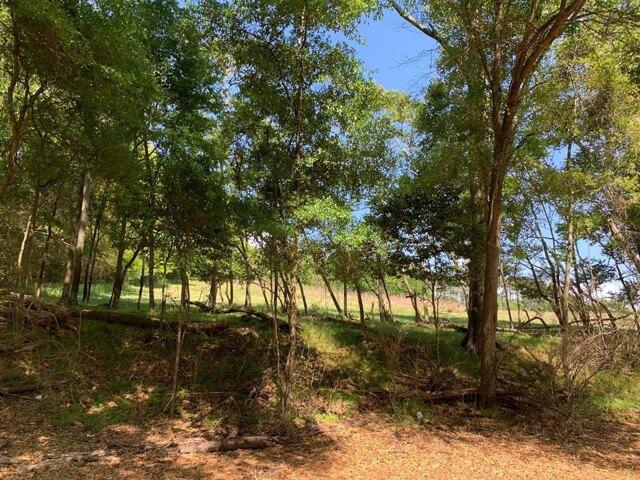 Land for sale in Troy