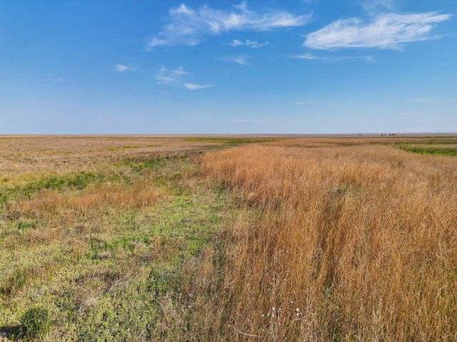 Land for sale in Eads, Colorado