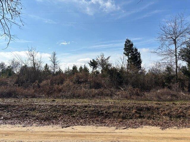 Land for sale in Troy