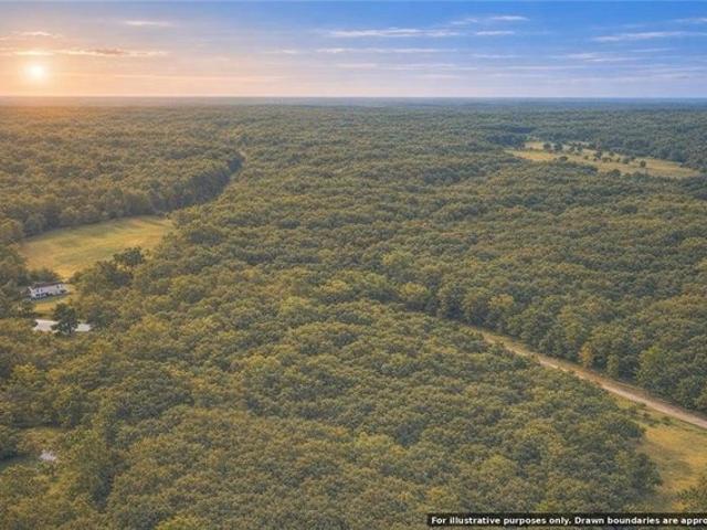 Land for sale in Roanoke, Alabama