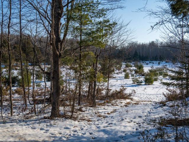 Property for sale in Fish Creek, Wisconsin