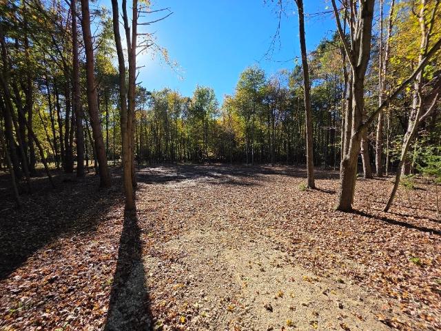 Land for sale in Saxeville, Town of Saxeville