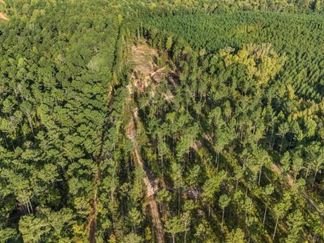 Land for sale in Waverly Hall, Georgia