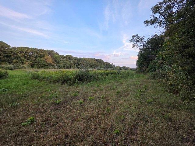 Land for sale in Fairfield, Wayne County