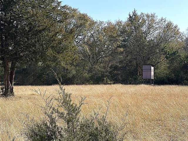 Land for sale in Leon, Texas