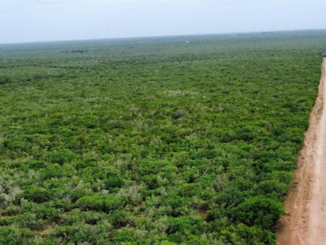 Farm for sale in San Diego, Texas