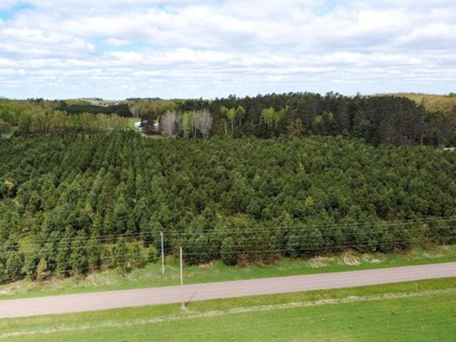 Land for sale in Carlton, Minnesota