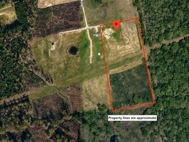 Land for sale in Panola, Texas