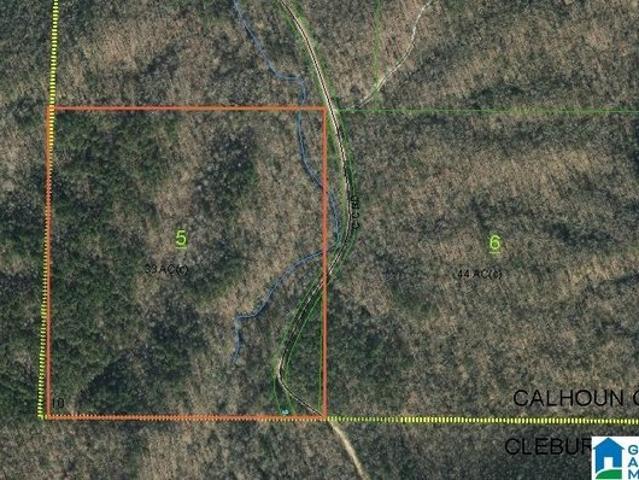 Land for sale in Eastaboga, Alabama
