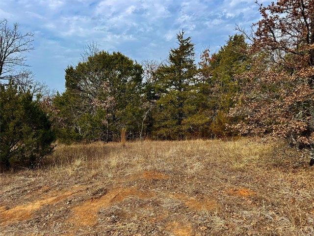 Land for sale in Whitesboro, Texas