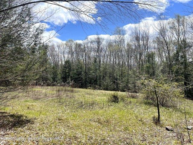 Land for sale in Ashland, New York