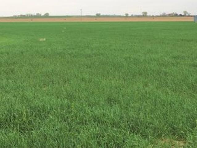 Farm for sale in Keenesburg, Colorado