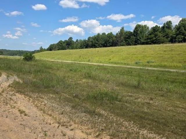 Land for sale in Phil Campbell, Alabama