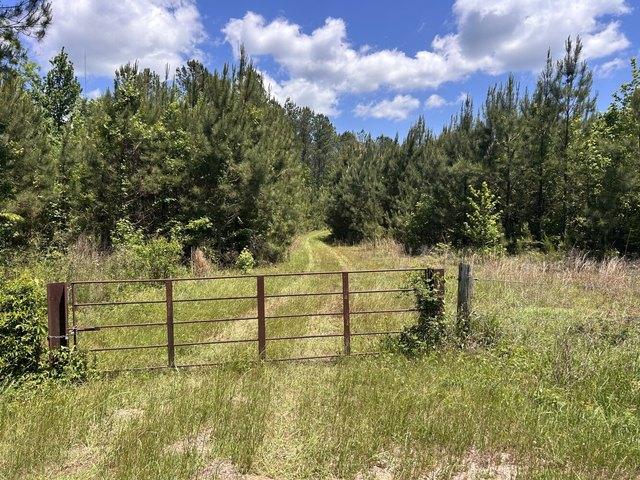 Land for sale in Alabama