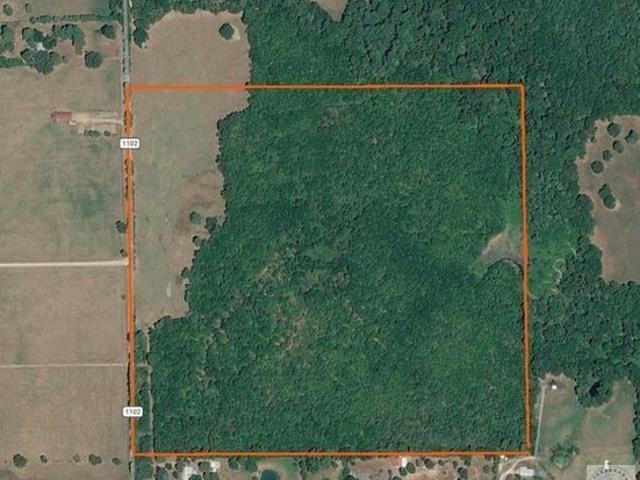Farm for sale in Maud, Texas