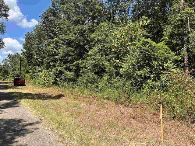 Land for sale in Panola, Texas