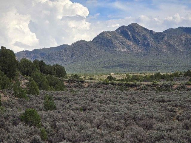 Land for sale in Ranchos De Taos, New Mexico
