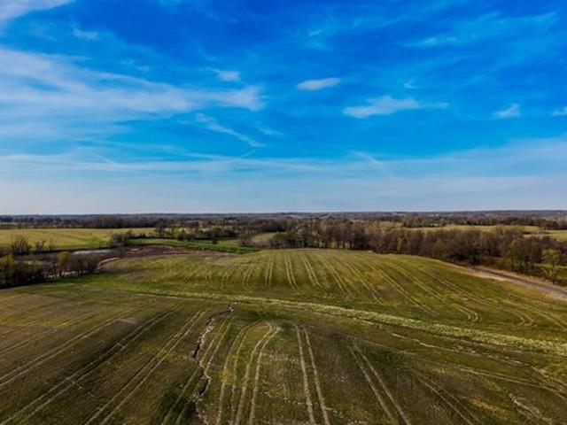 Farm for sale in Fancy Farm, Kentucky