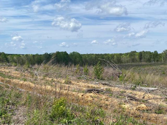 Land for sale in Kosciusko, Mississippi