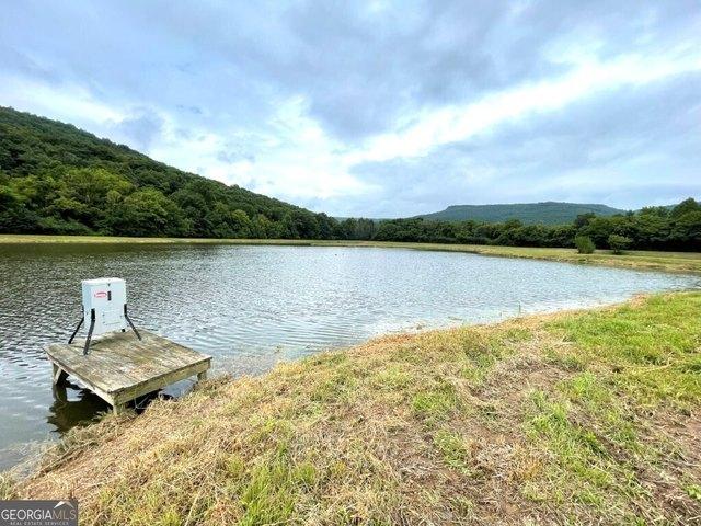 Land for sale in Fackler, Alabama
