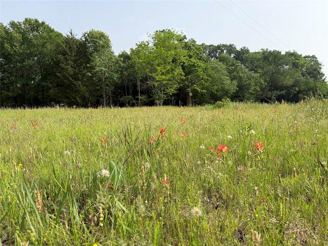 Land for sale in Cumby, Texas