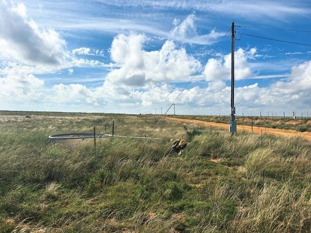 Farm for sale in Muleshoe, Bailey County