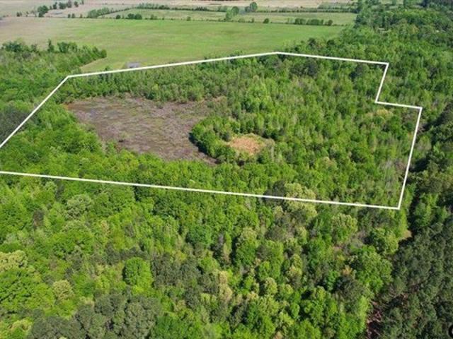Land for sale in Morris, Texas