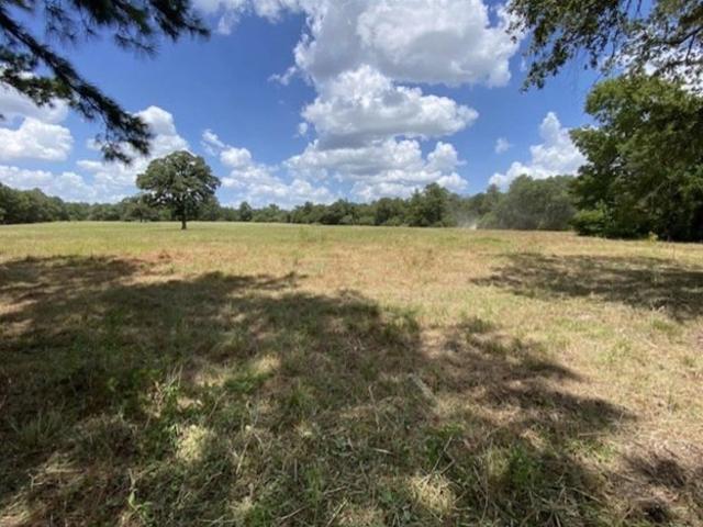 Land for sale in Leon, Texas