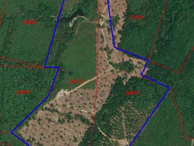 Land for sale in Shelby, Texas