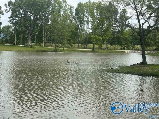 Land for sale in Cedar Bluff, Alabama