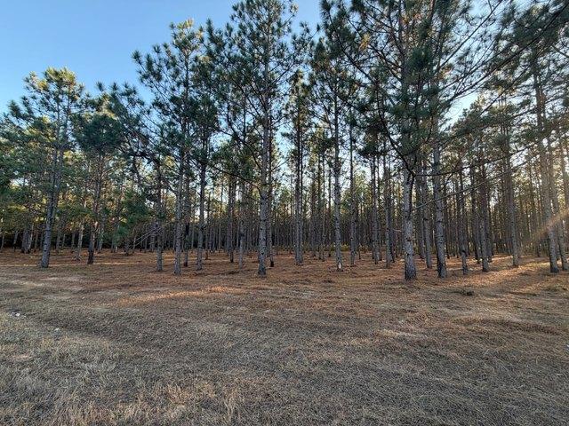 Land for sale in Troy, Alabama