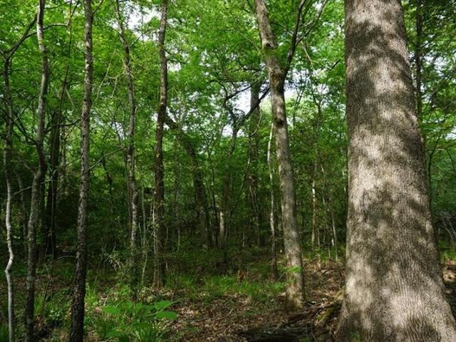 Land for sale in Henderson, Texas