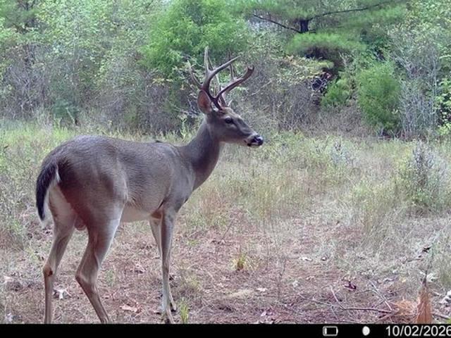 Land for sale in Rusk, Cherokee County
