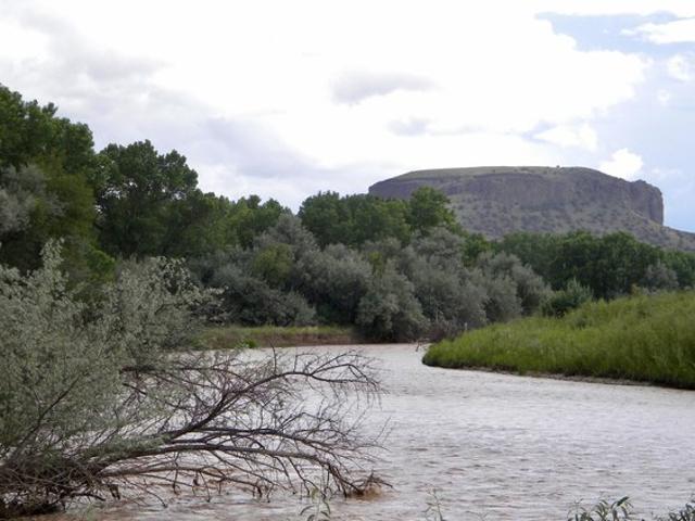 Land for sale in Mesilla, Doña Ana County