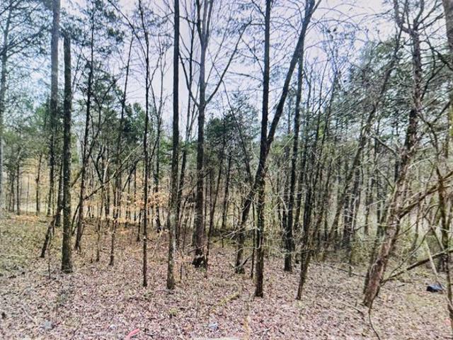 Land for sale in Tennessee