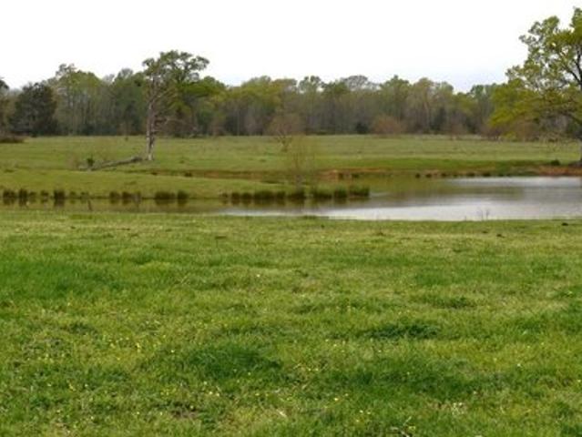 Land for sale in Panola, Texas