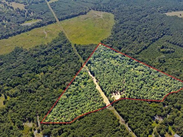 Land for sale in Pittsburg, Camp County