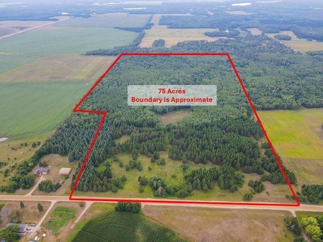 Land for sale in Hubbard, Minnesota