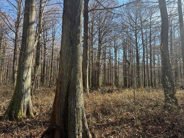 Land for sale in Abbeville, Mississippi