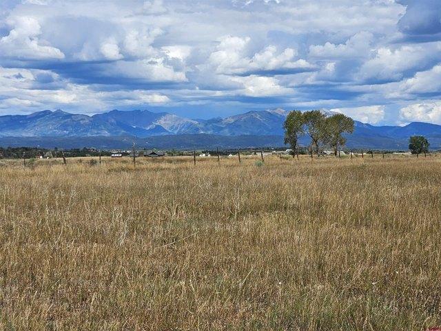 Land for sale in La Plata, Colorado
