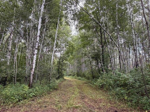 Land for sale in Carlton, Minnesota