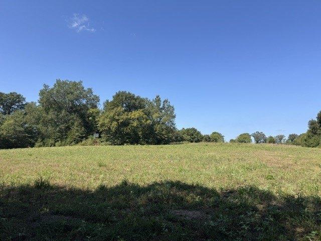 Land for sale in Rains, Texas
