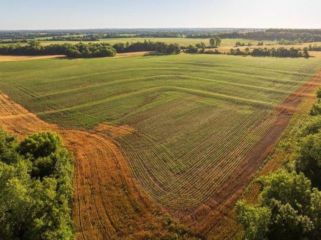 Farm for sale in Braymer, Missouri
