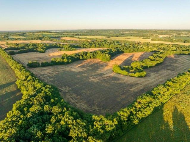 Farm for sale in Braymer, Missouri