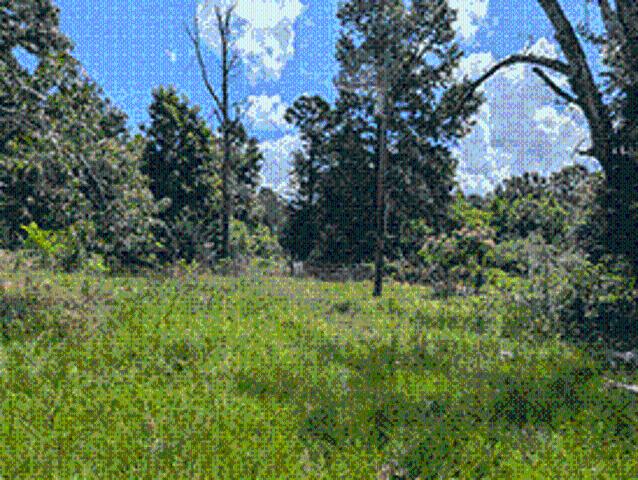 Land for sale in Rusk, Texas