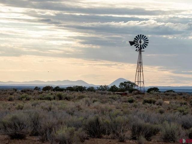 Land for sale in La Plata, Colorado