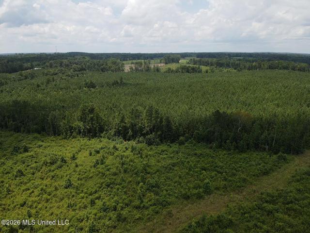 Land for sale in Polkville, Mississippi