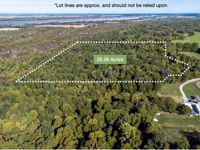 Farm for sale in Bardwell, Kentucky