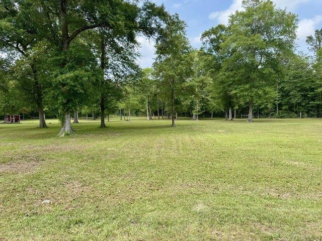 Land for sale in Hillister, Texas